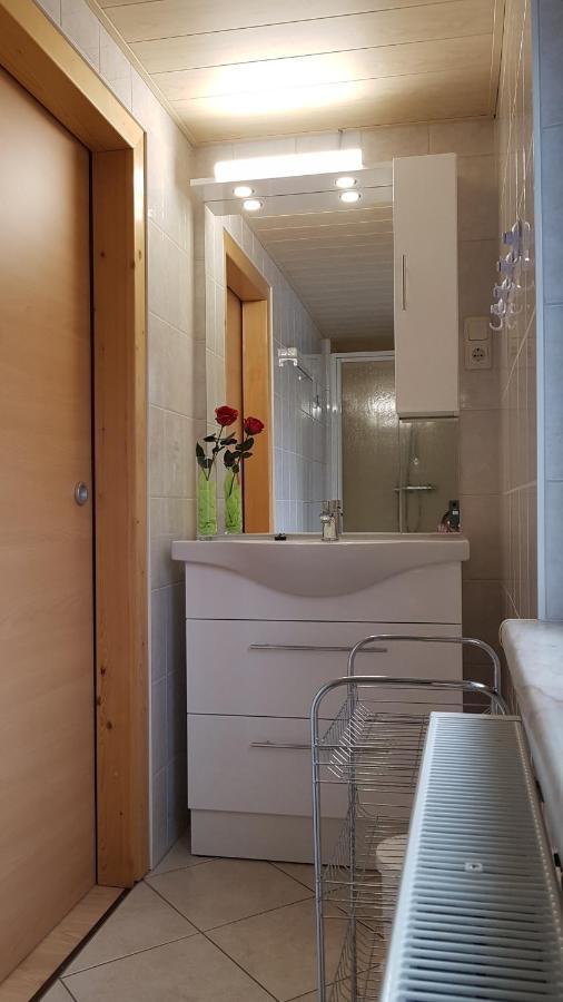 Ferienwohnung Berndt Oberweißbach Extérieur photo
