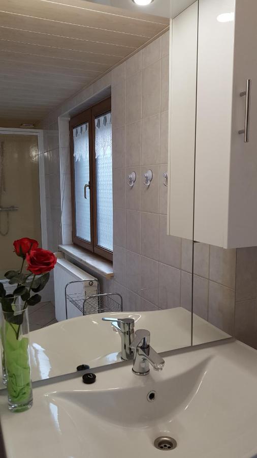 Ferienwohnung Berndt Oberweißbach Extérieur photo